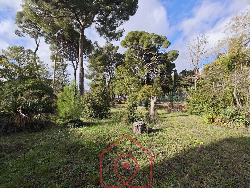 Maison à BAGES