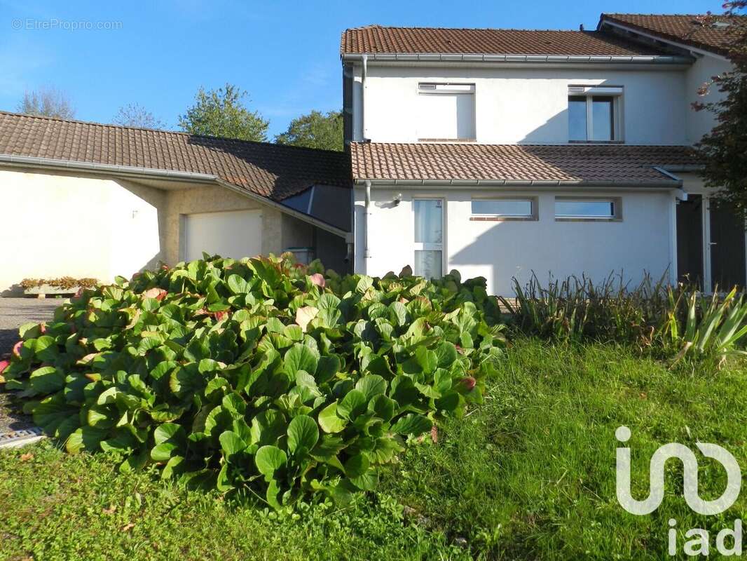 Photo 4 - Maison à SAINT-REMY