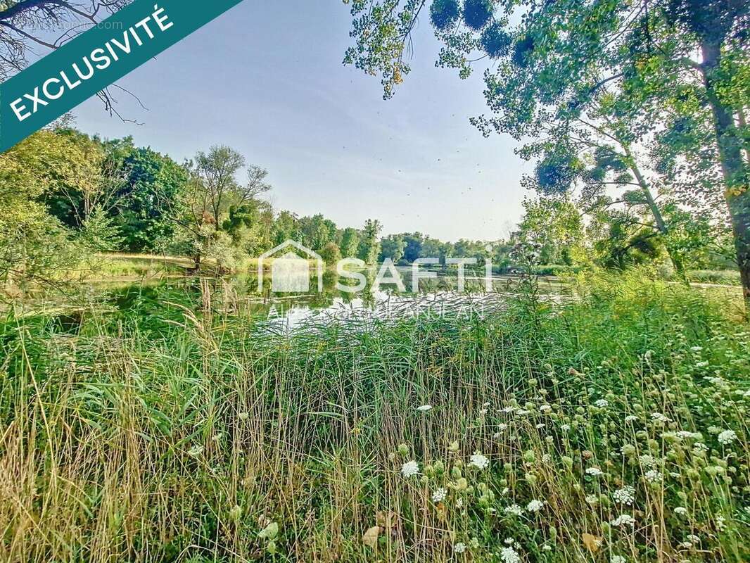 Photo 4 - Terrain à ARS-SUR-MOSELLE