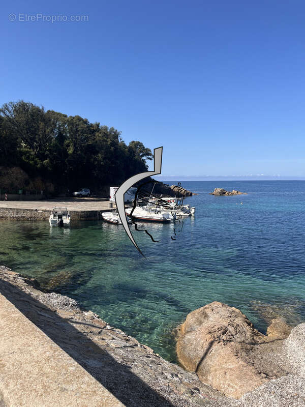 STUDIO à SAGONE  : le charme de la mer à portée de main - photo 2