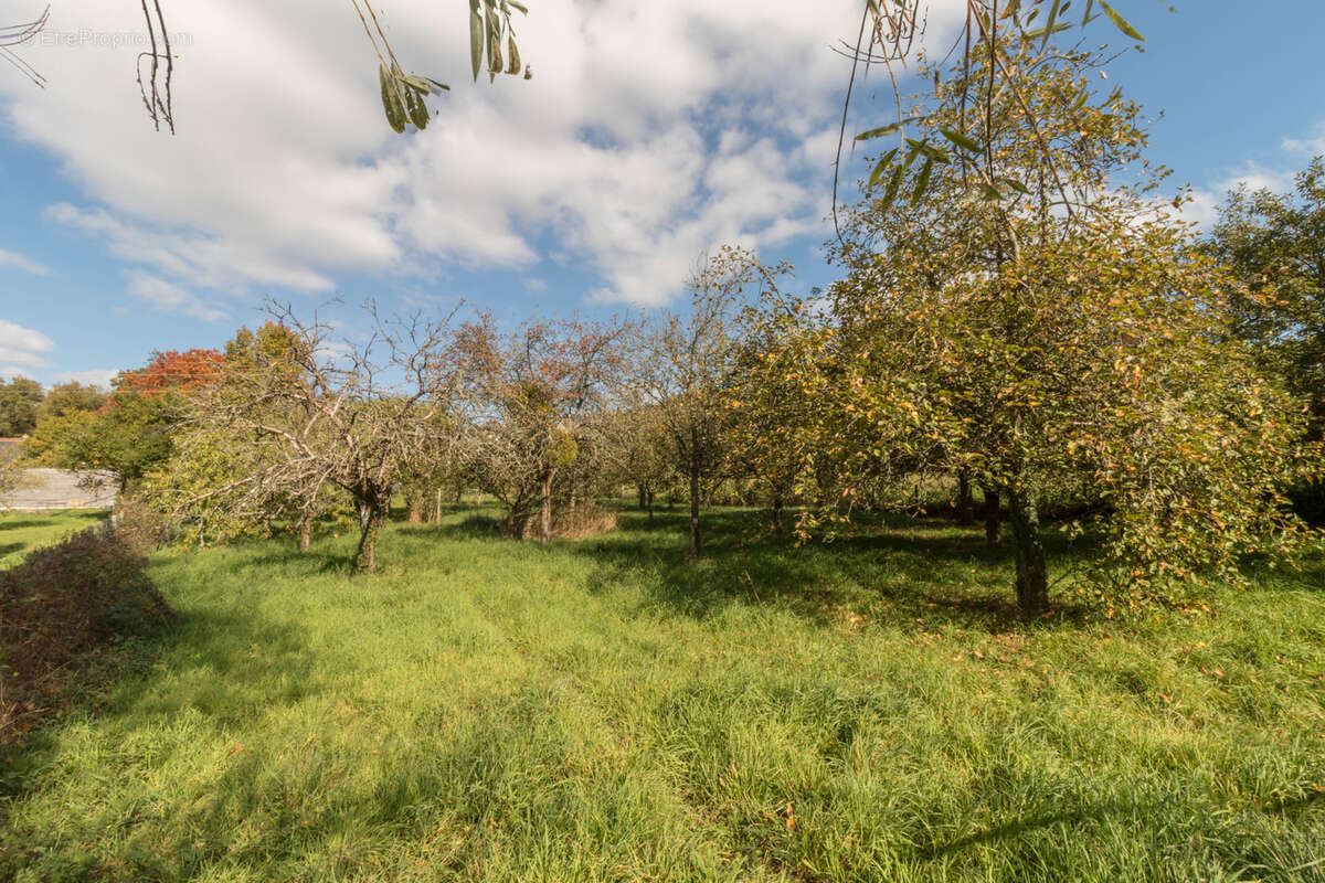 Terrain à SAINT-MEDARD-SUR-ILLE