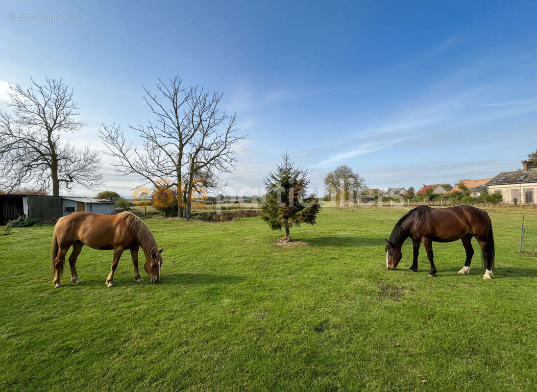 Maison à NOGENT-LE-SEC