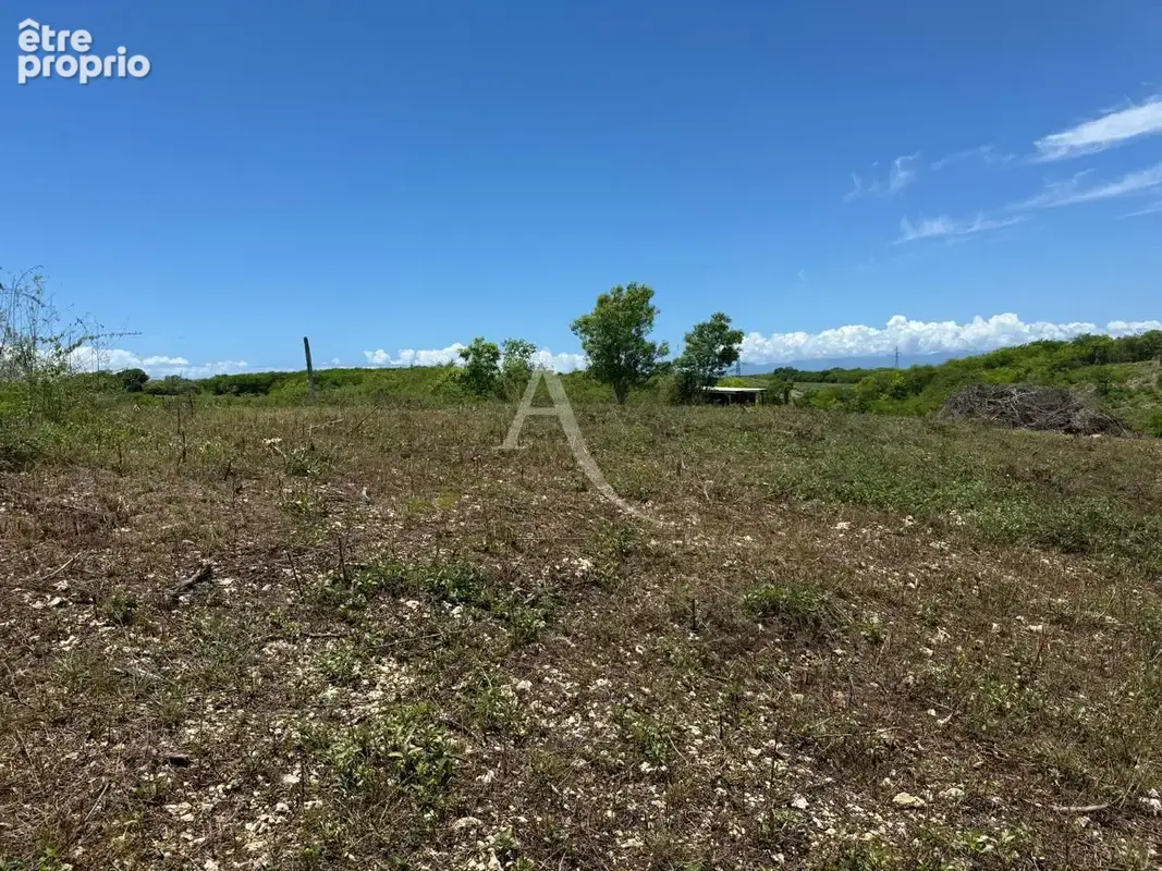 Terrain à SAINTE-ANNE