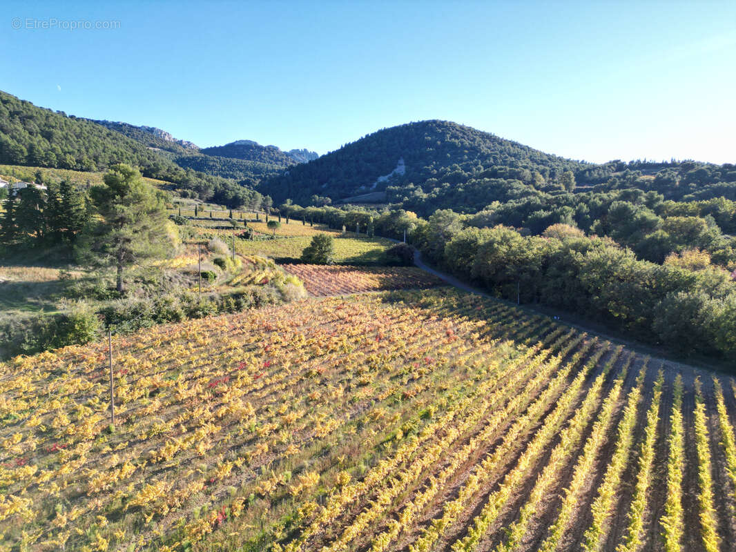 Domaine sur 13 hectares au coeur des dentellles de montmirail - cru gigondas - photo 6