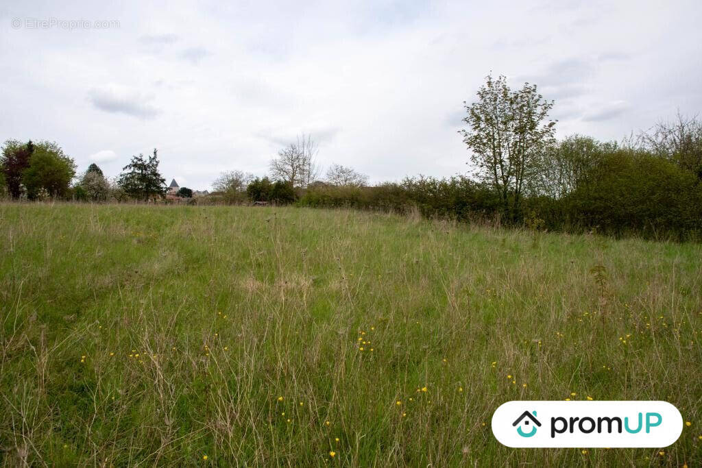 Terrain à MONTMIRAIL