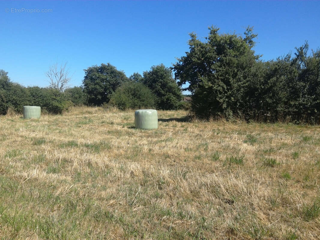 Terrain à CLESSY