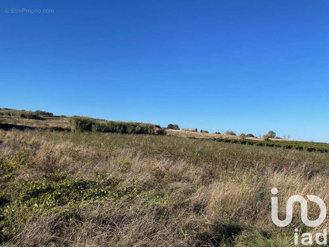 Photo 2 - Terrain à TOURBES