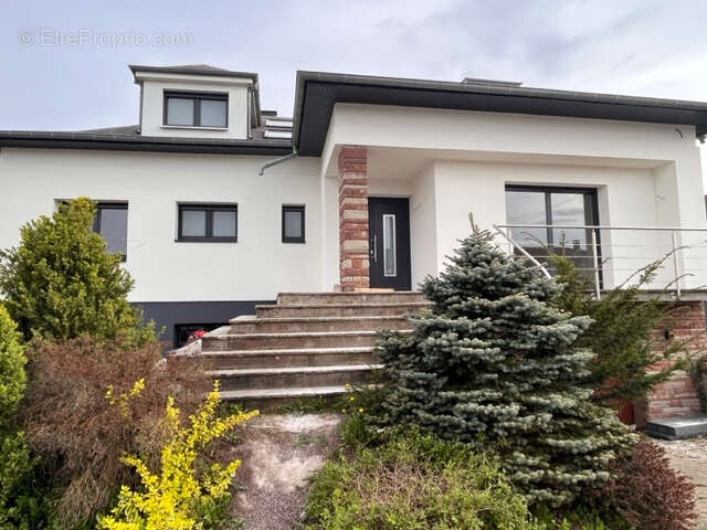 MAISON VALFF à 5 minutes d'OBERNAI - 233 m2 sur 6.65 ares - 499.900€ FAI - photo 2