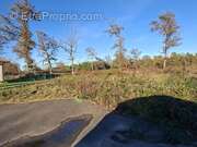 Terrain à BAS-MAUCO