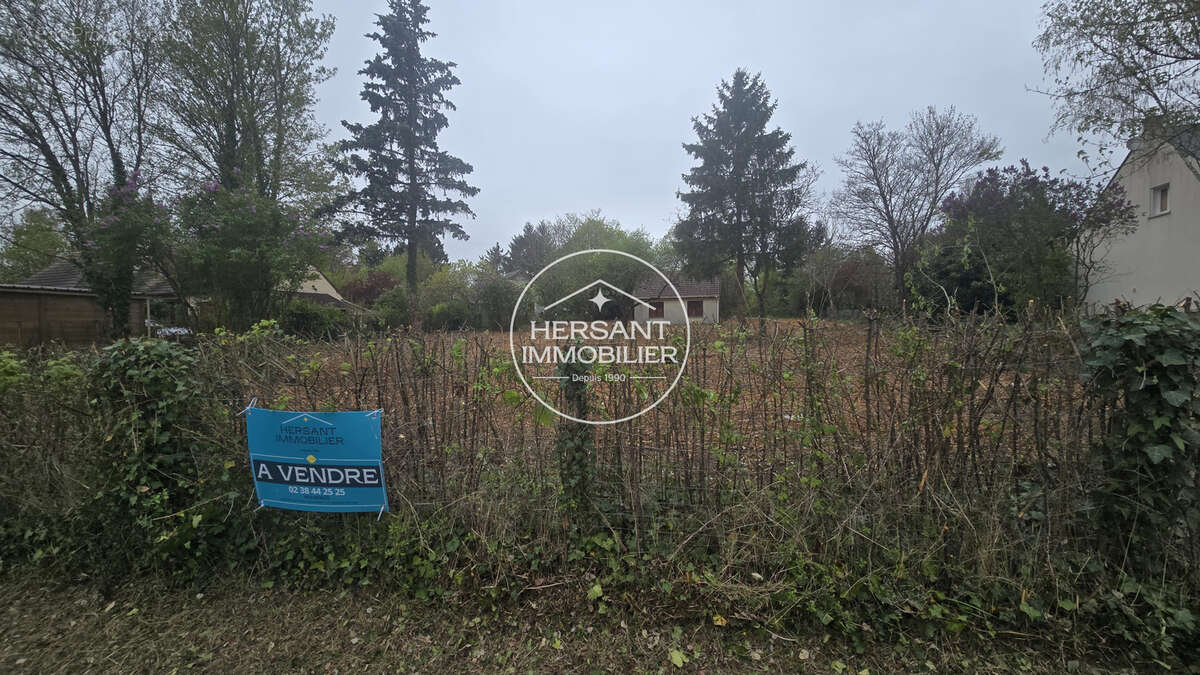 Terrain 3041 m² à Beaugency  - photo 2