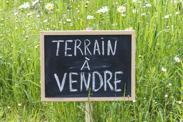 Terrain 5000 m² à Muret  - photo 24