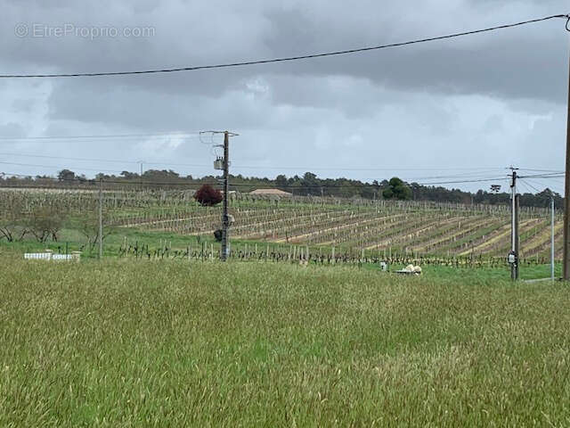 Terrain à SAINT-BONNET-SUR-GIRONDE