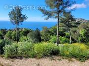 Terrain à LA TURBIE