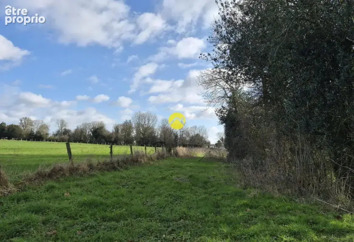 Terrain de 2 hectares - photo 9
