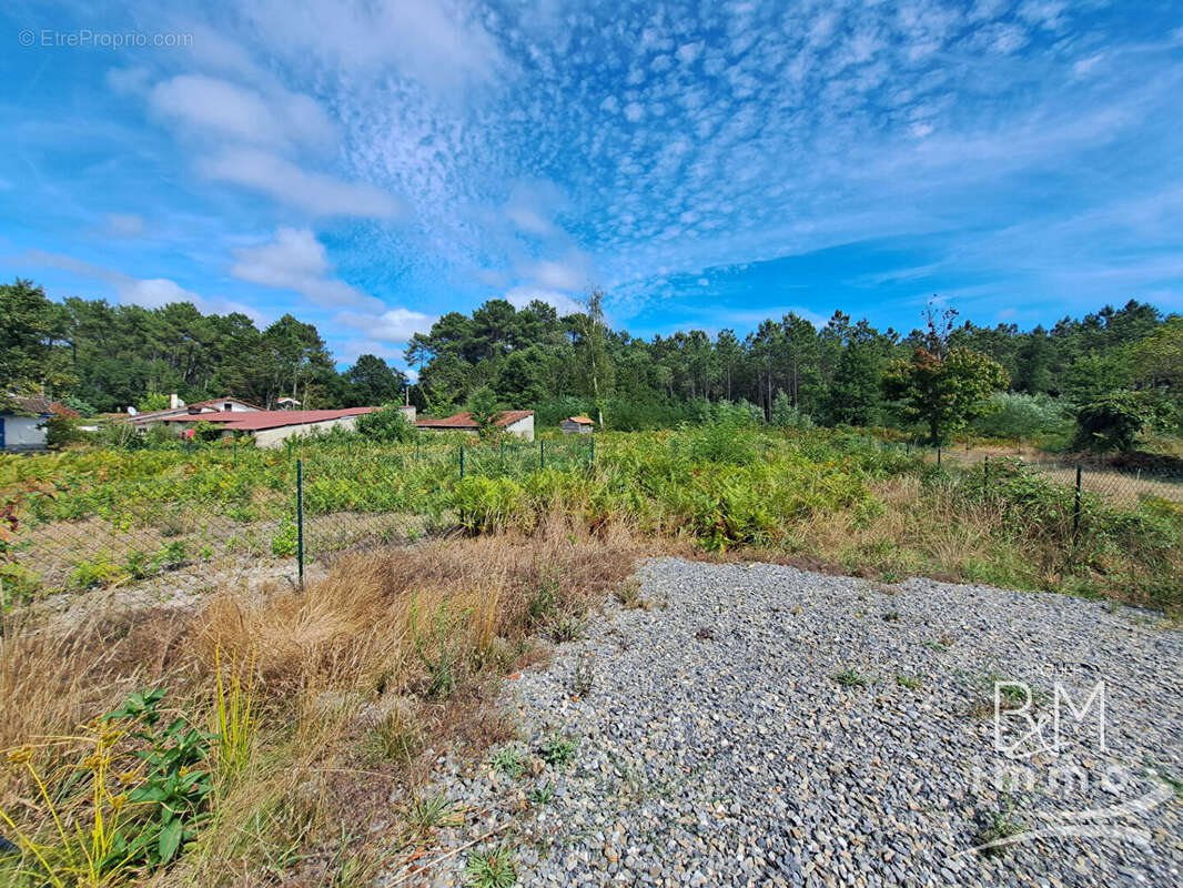 A vendre, terrain à bâtir à LEON 637 m2 - photo 3