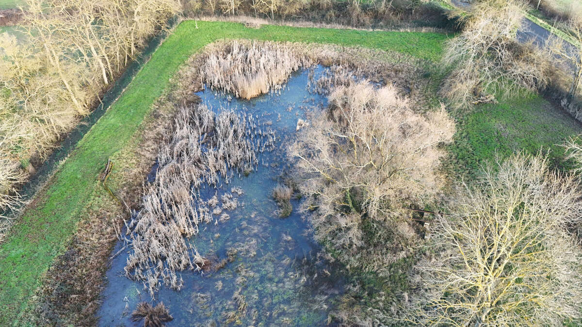 Maison à CHATILLON-SUR-CHALARONNE