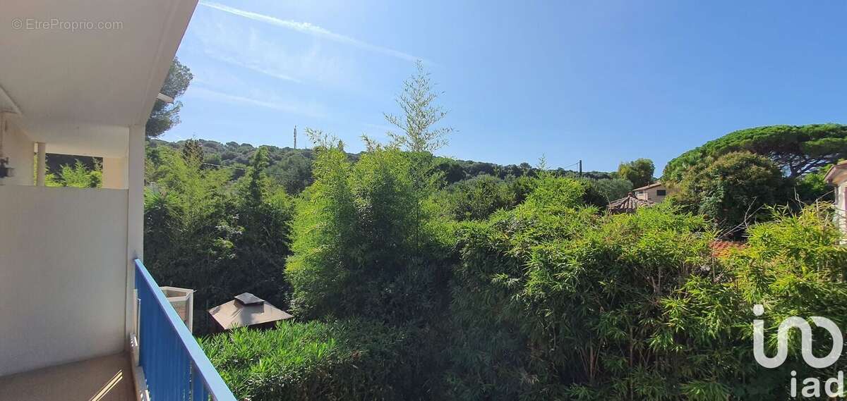 Photo 8 - Appartement à ANTIBES