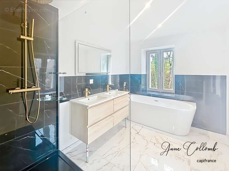 Maison à SAINT-PAUL-EN-CHABLAIS