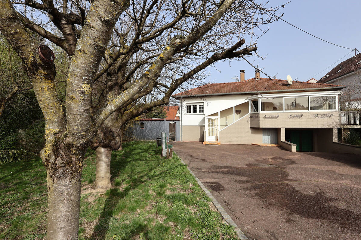 Maison à BARTENHEIM