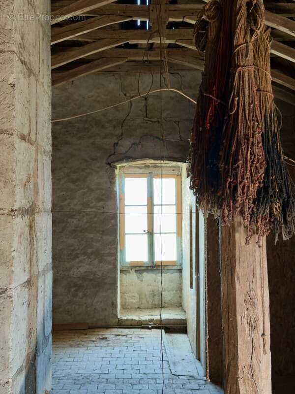 Maison à CHENEHUTTE-TREVES-CUNAULT