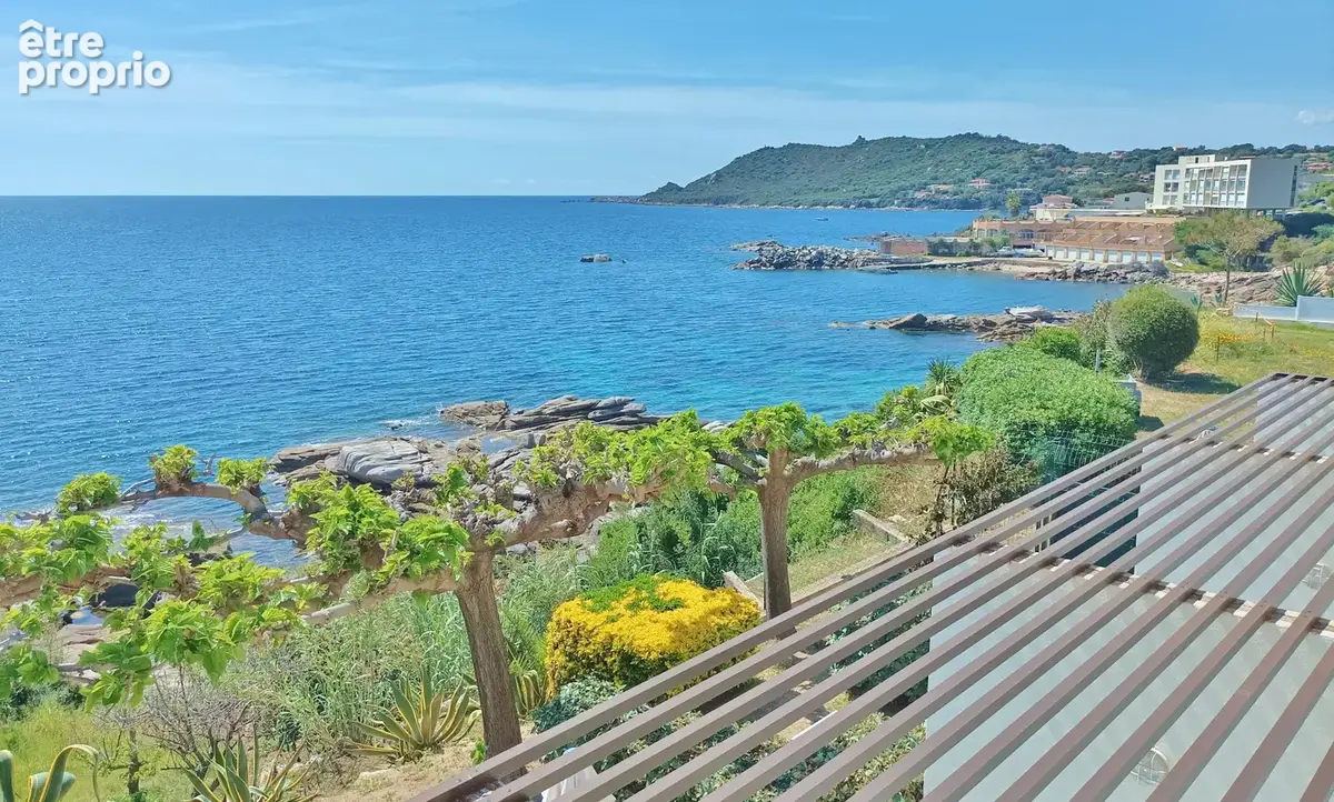 30 minutes d'AJACCIO - Immeuble de 6 appartements pieds dans l'eau - photo 30