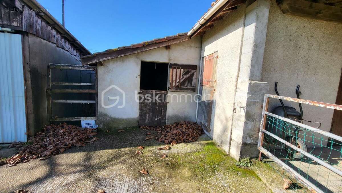 Maison t6 144 m2 avec terrain 6568 m2 - photo 14
