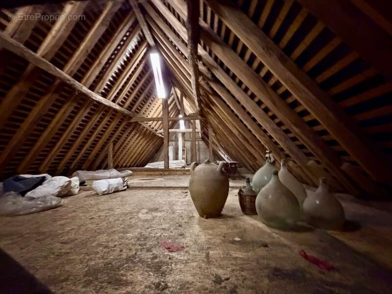 Maison à BEAUFORT-EN-VALLEE