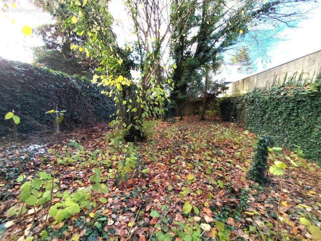 Commerce à RAMBOUILLET