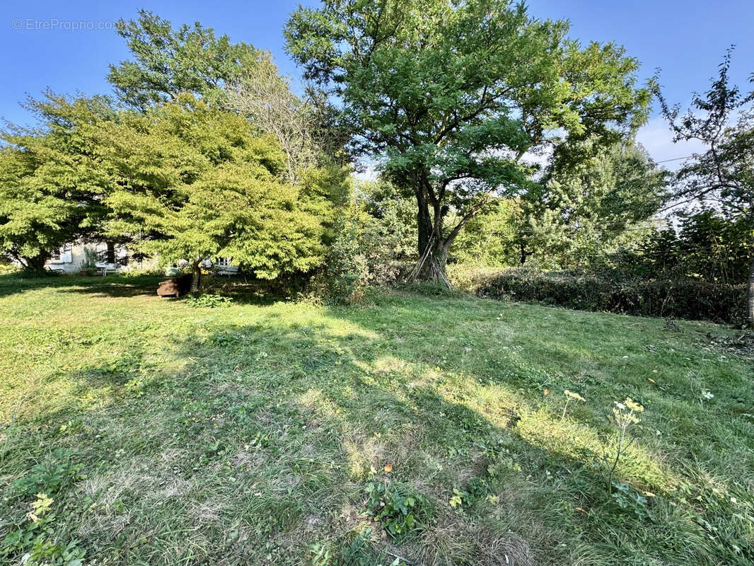 Maison à COULOMMIERS