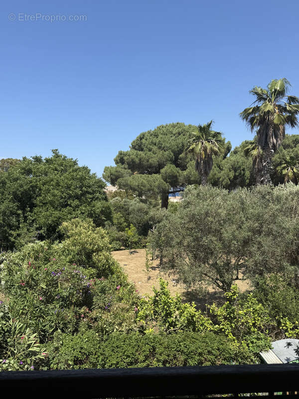 Appartement à CALVI