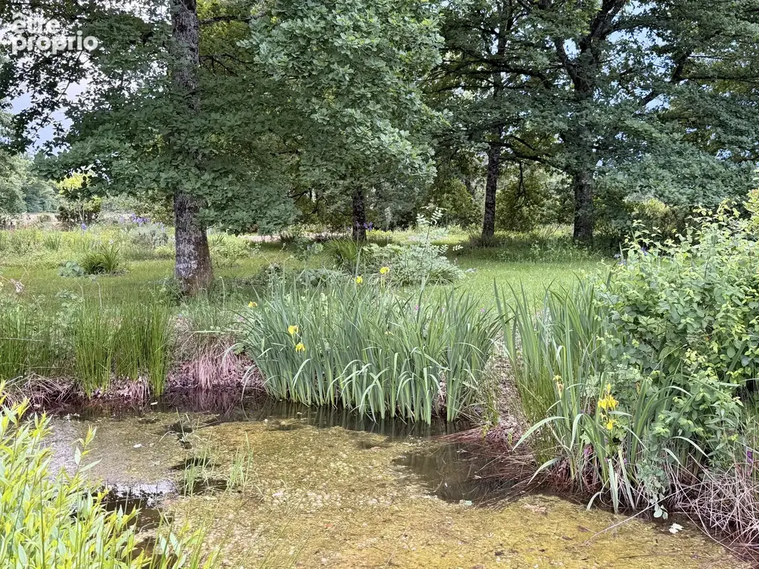 Rare – authentique ferme bressane du xviiie siècle – cadre exceptionnel- 100 m du 1er voisin - photo 23