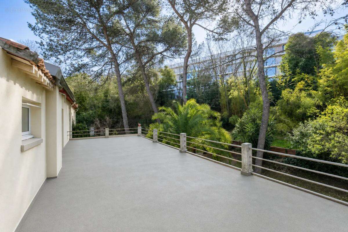 Élégante bastide au cœur de Montpellier - photo 4