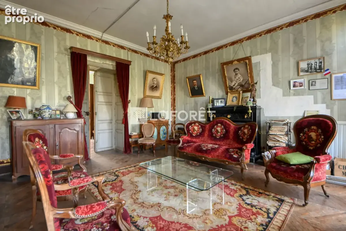 Maison de maître a vendre a rabastens - photo 3