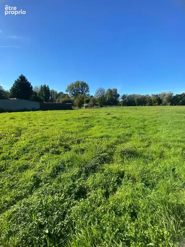 Terrain 6 494 m² à vendre à Andres (62340) - photo 6