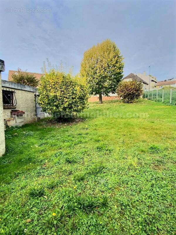 exposio_133236309 - Maison à SUCY-EN-BRIE