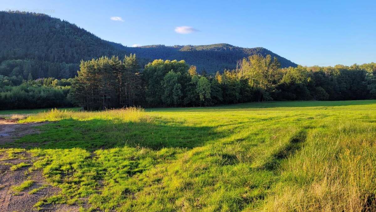 Saint die des vosges - terrain constructible - photo 3
