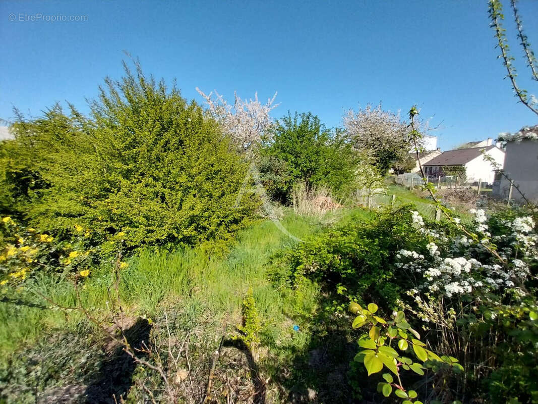 Terrain à LES MUREAUX