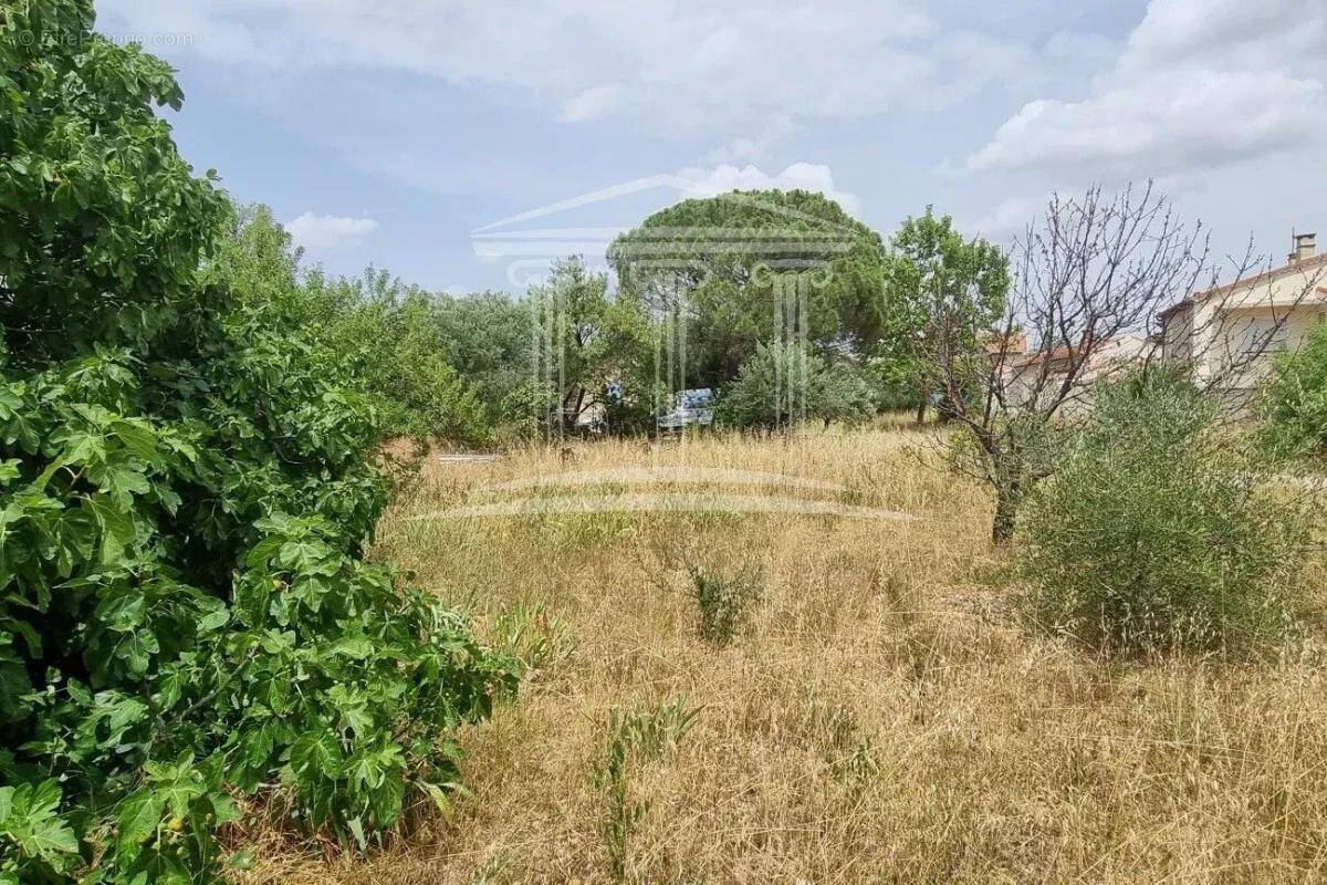 Terrain à SORGUES