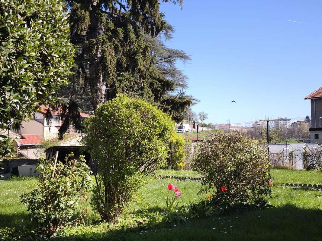 Photo 2 - Maison à SAINT-CHAMOND