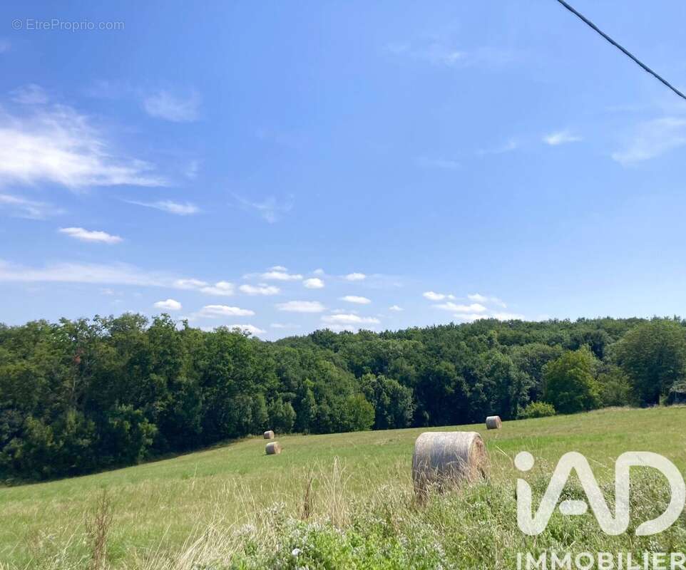 Photo 3 - Terrain à POUYASTRUC