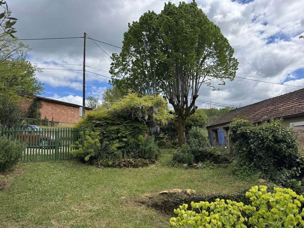 IMG2523 - Maison à LE BUISSON-DE-CADOUIN