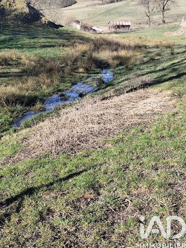 Photo 7 - Maison à CRAPONNE-SUR-ARZON