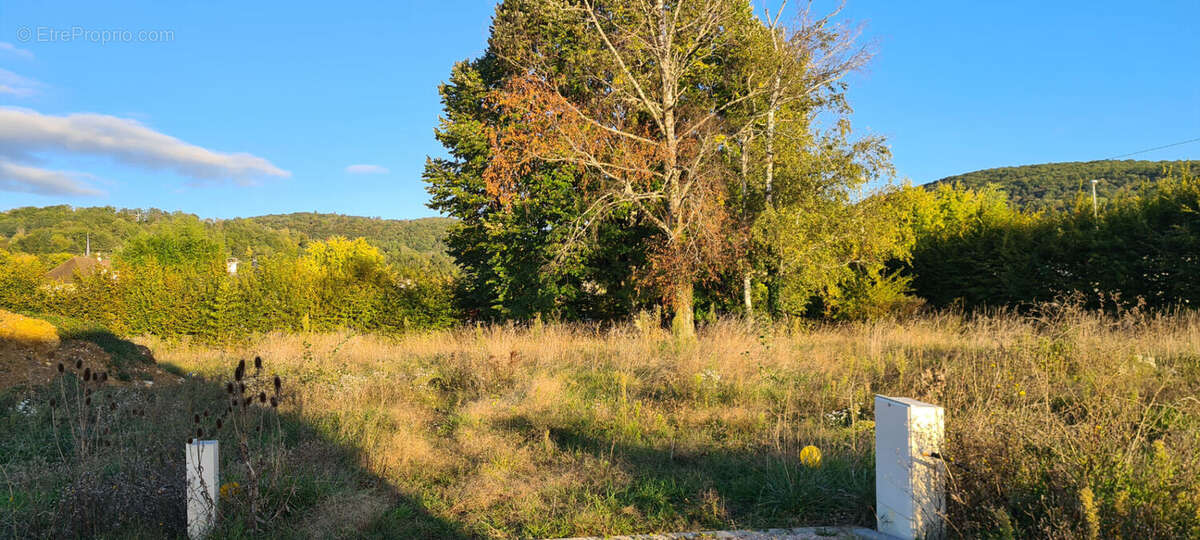 Terrain à JUJURIEUX