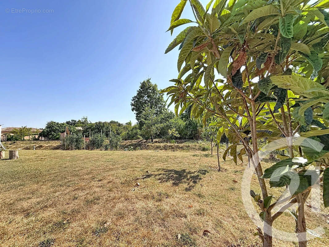 Maison 143 m² à Montauban  - photo 5