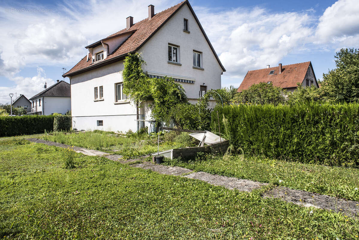 Maison à SESSENHEIM