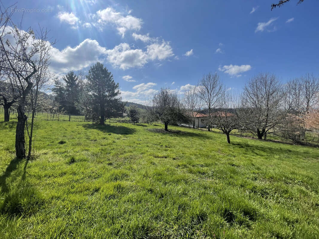 Terrain 1244 m² à Cublize  - photo 5