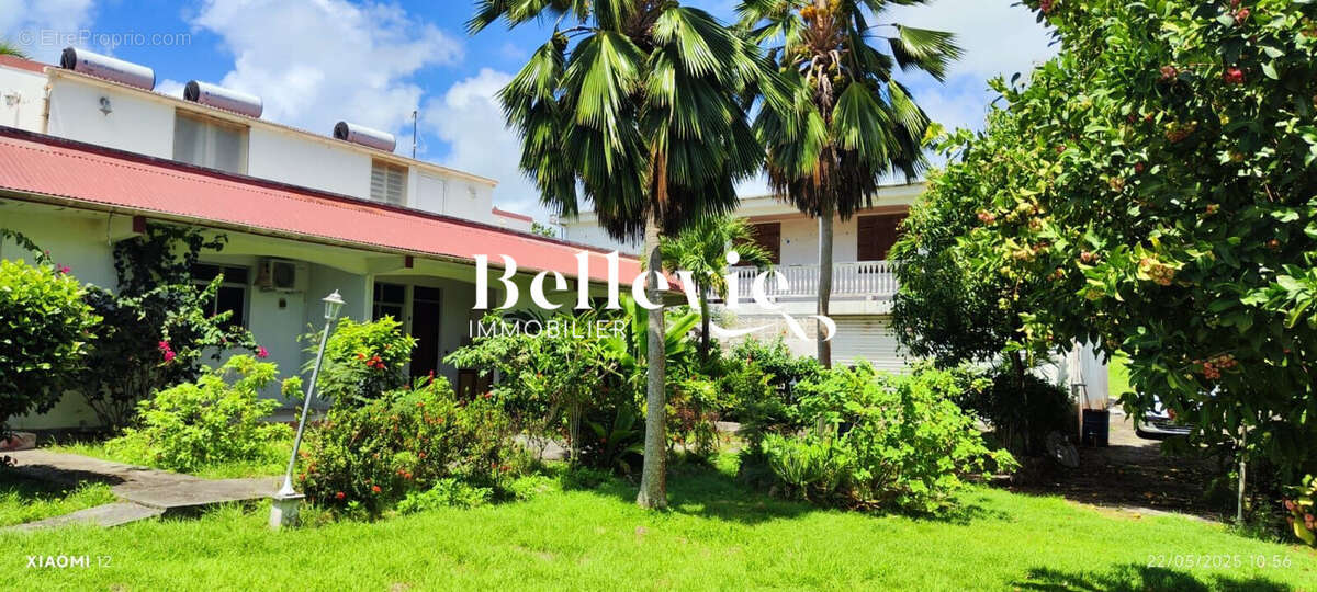 Maison à BASSE-TERRE