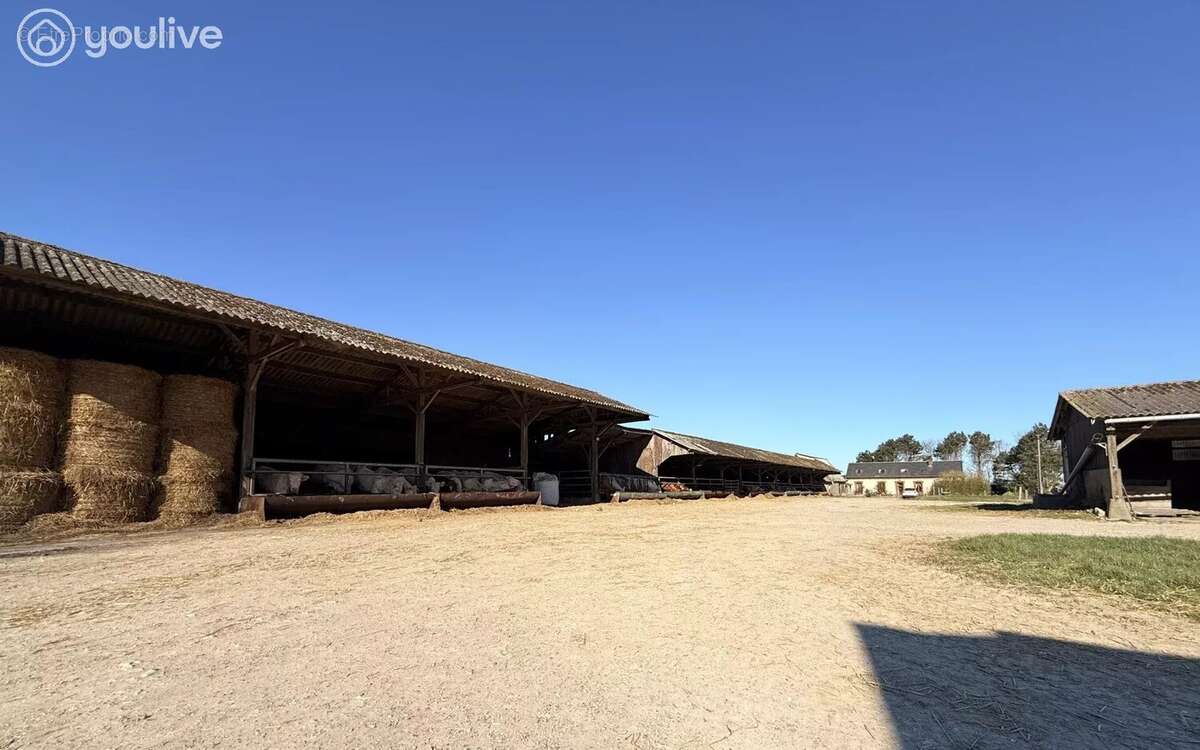 Maison à VEULETTES-SUR-MER