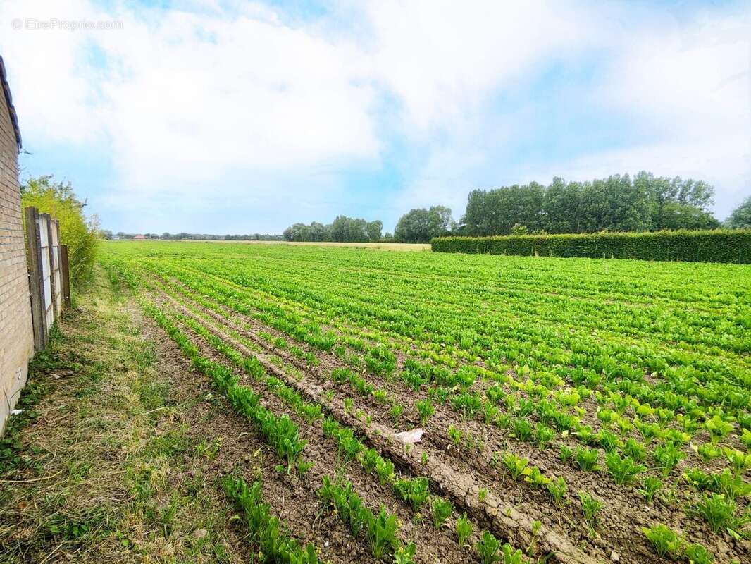 Terrain à AIRE-SUR-LA-LYS