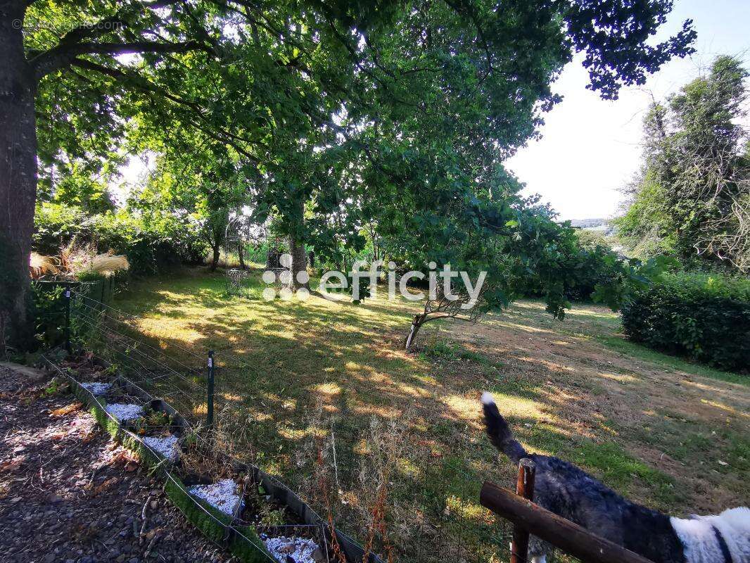Maison 210 m² à Beauficel  - photo 17